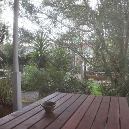 Oasis Accommodation Opotiki Exterior foto